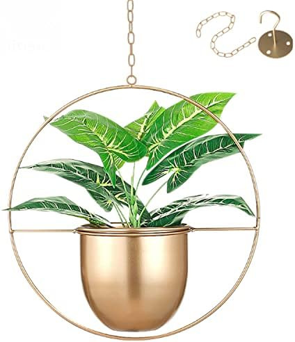 Eco Joy Boho Metal Hanging Planters with 6" Pot (Detachable) + Hook + Chain | Hanging Planters In... | Amazon (US)