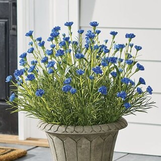 Carnation Urn Filler | Grandin Road