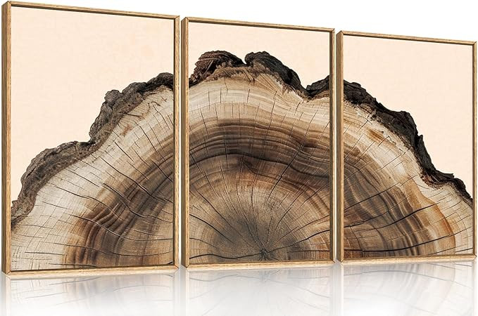 KAIRNE Vintage Tree Rings Framed Canvas Wall Art Set, Retro Wood Stump Wall Decor, Neutral Tree S... | Amazon (US)
