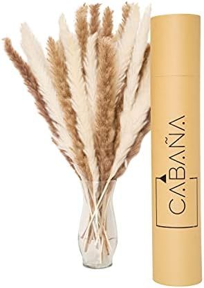 CABAÑA - Dried Pampas Grass for Home Decoration. Small Pampas Grass. 30 Pieces, 17 Inches Faux P... | Amazon (US)