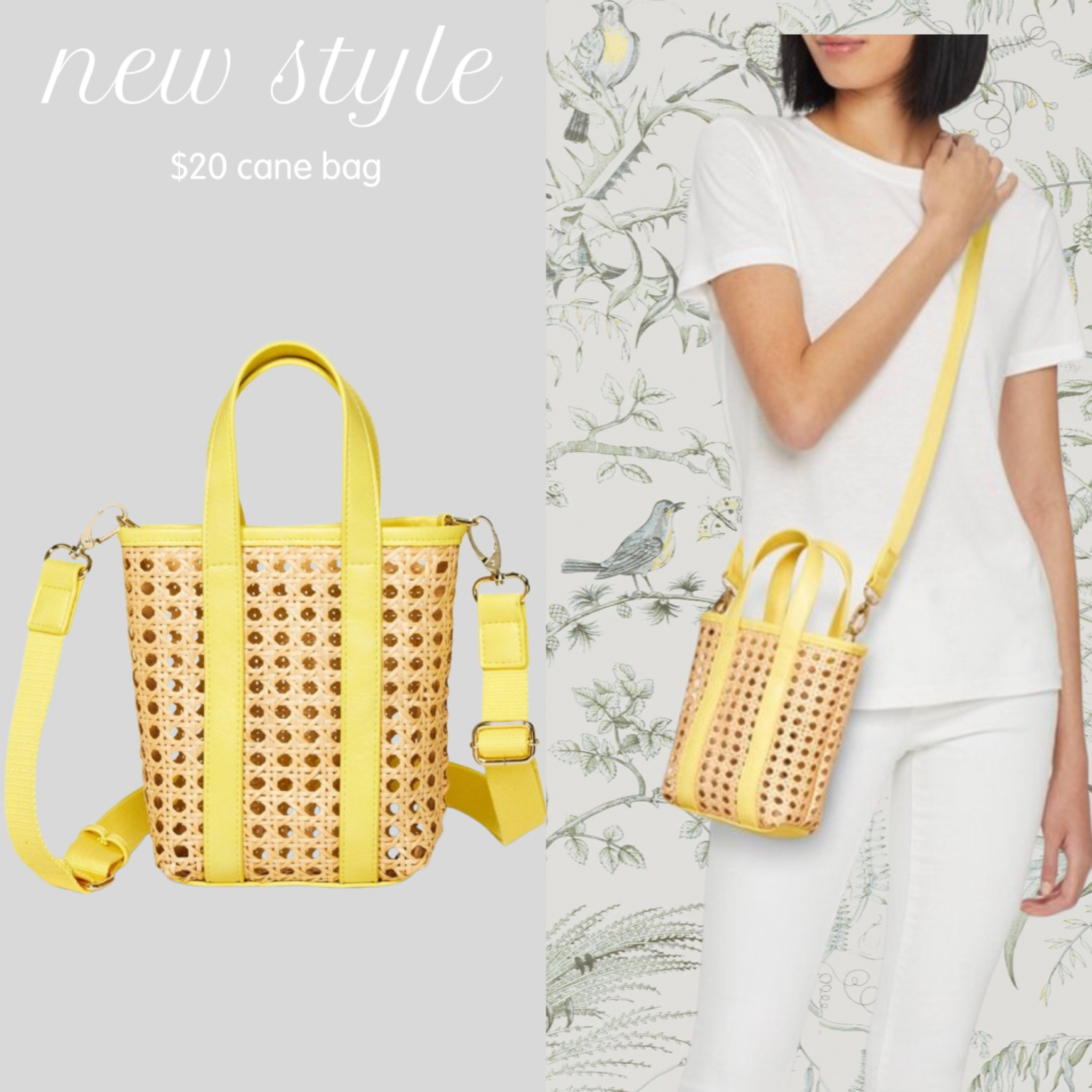 $20 cane bag 

#LTKtravel #LTKfindsunder50 #LTKitbag