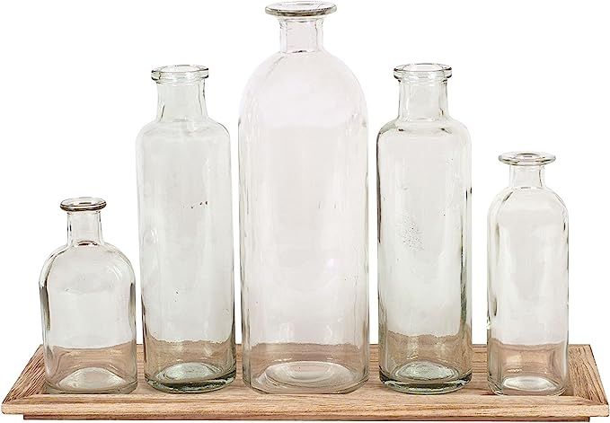 Creative Co-Op DA2672 Set of 5 Vintage Bottle Vases on Wood Tray | Amazon (US)