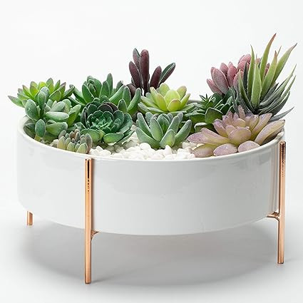 Kimisty 10 Inch Mid Century Round Succulent Planter Bowl with Rose Gold Stand, White Ceramic Pot ... | Amazon (US)