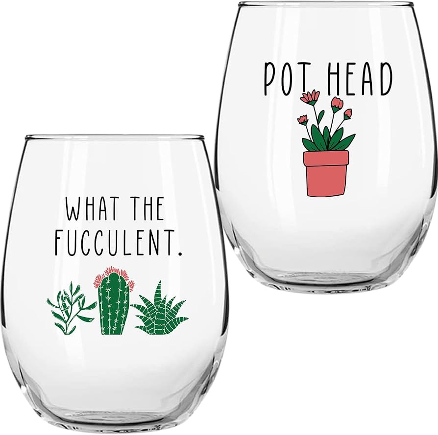 Succulent Plant Cactus Gifts for Women- Set of 2 Funny Wine Glasses 15oz - Plant Lover Gift Mug -... | Amazon (US)