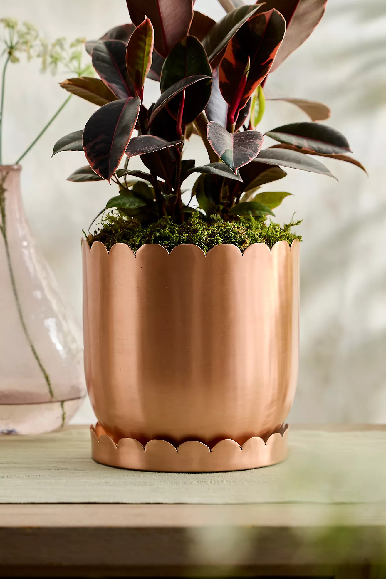 Scallop Edge Polished Copper Planter | Terrain