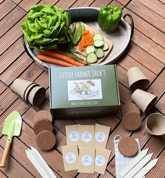Grow Kit  Kids First Vegetable Garden Seed Kit - Etsy | Etsy (US)