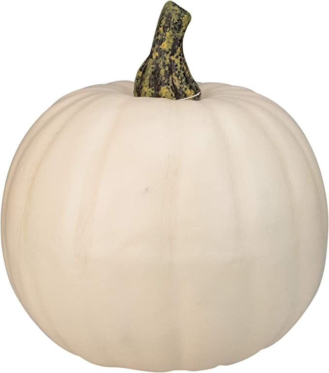Northlight 8.5” Cream White Pumpkin Fall Harvest Table Top Decoration | Amazon (US)