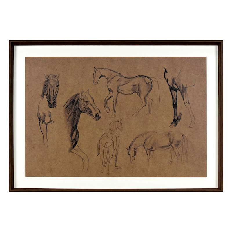 Glass Framed Horse Sketch Study Printed Wall Art, 35x25 | At Home