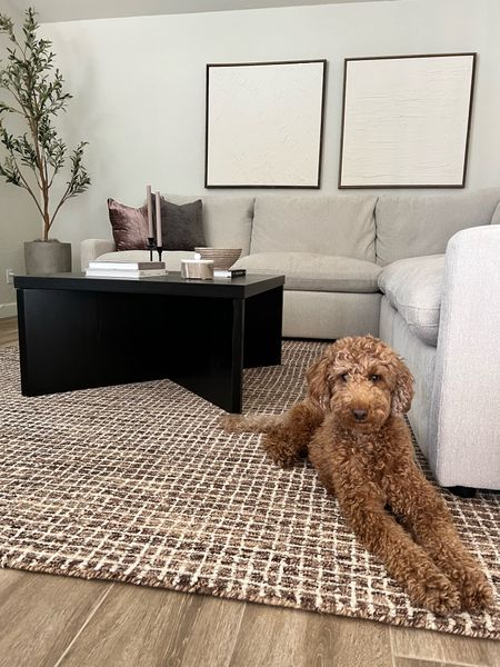 Obsessed with how our family room is coming together! The rug added so much warmth to the room and the decor is minimal yet cozy. Bentley is the color palette inspiration always #homedecor #homedesignideas #decorideas #modernhome 

#LTKStyleTip #LTKHome #LTKSaleAlert