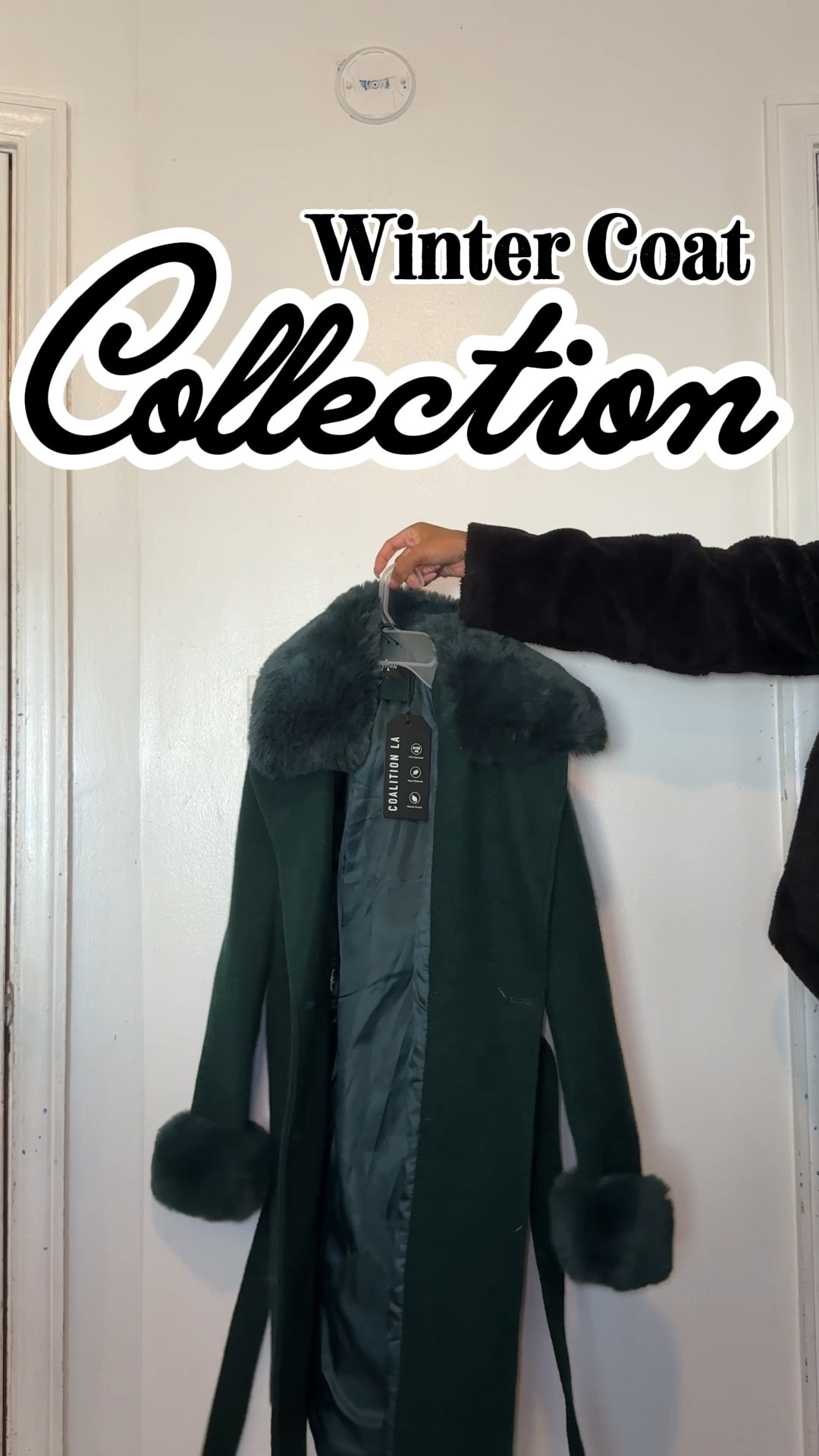 My winter coat collection 


#LTKSeasonal