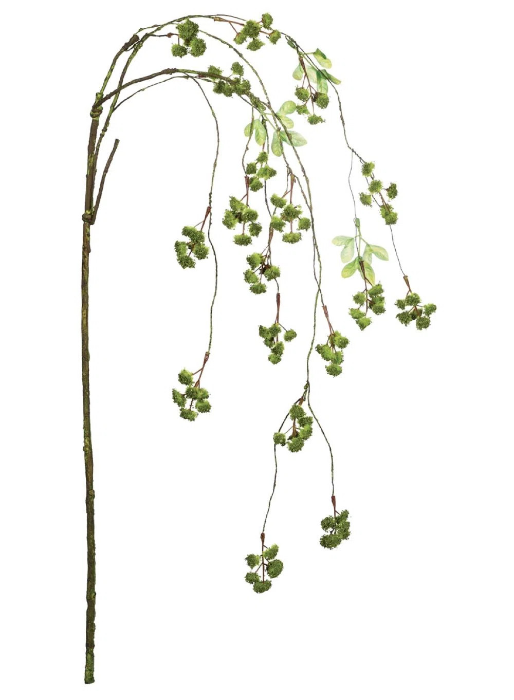 Paper Irish Moss Arrangement | Wayfair North America