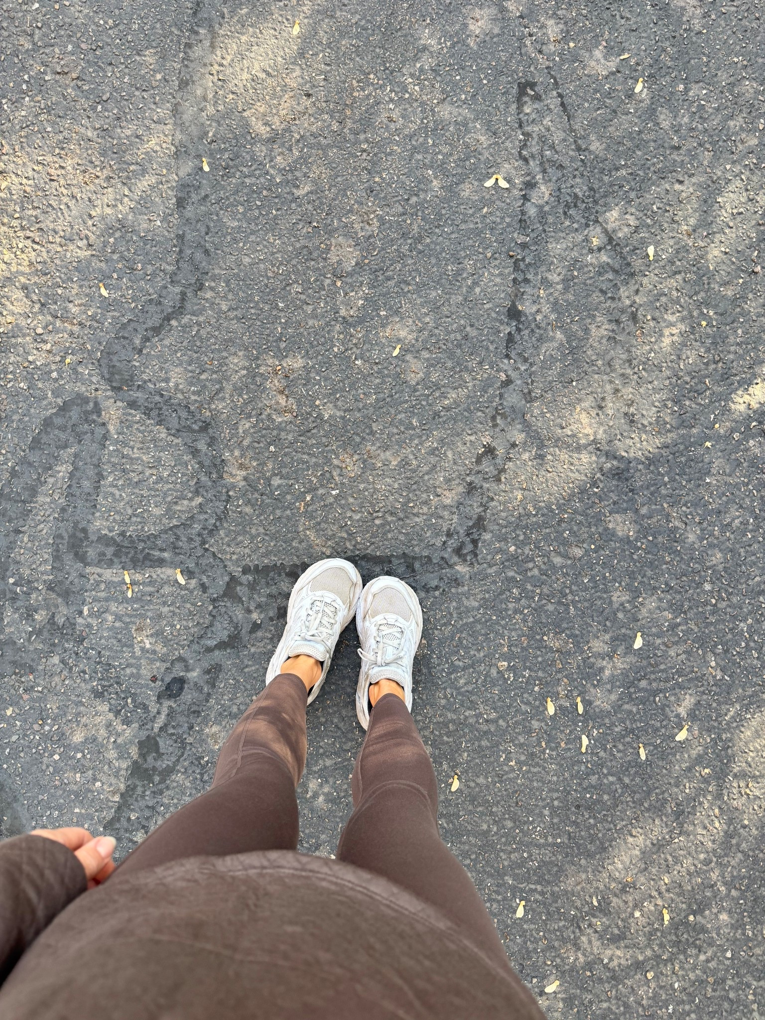 You all asked about this look! 🤎
These warm fall browns are my favorite right now — soft, comfy, and everything’s 50% off! Wearing my true size.
#AutumnStyle #FallLooks #ComfyAndCute #FallWardrobe #EverydayStyle

#LTKSaleAlert #LTKSeasonal