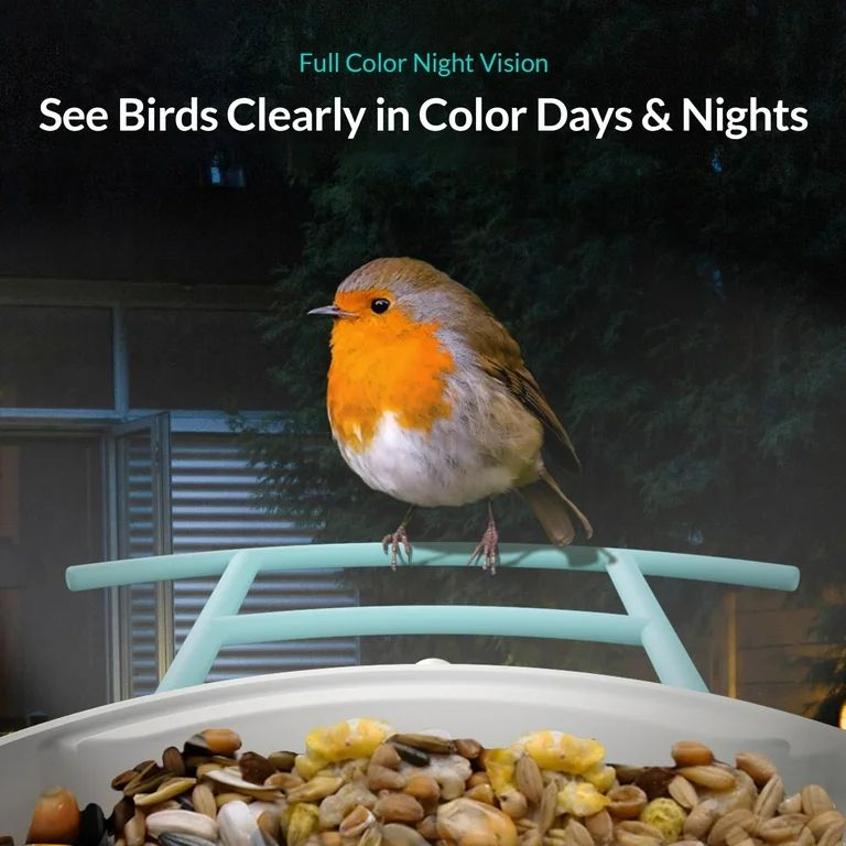 Smart Bird Feeder with Camera, Netvue Birdfy Bird Feeders Camera with AI Identify for Bird Lover,... | Walmart (US)