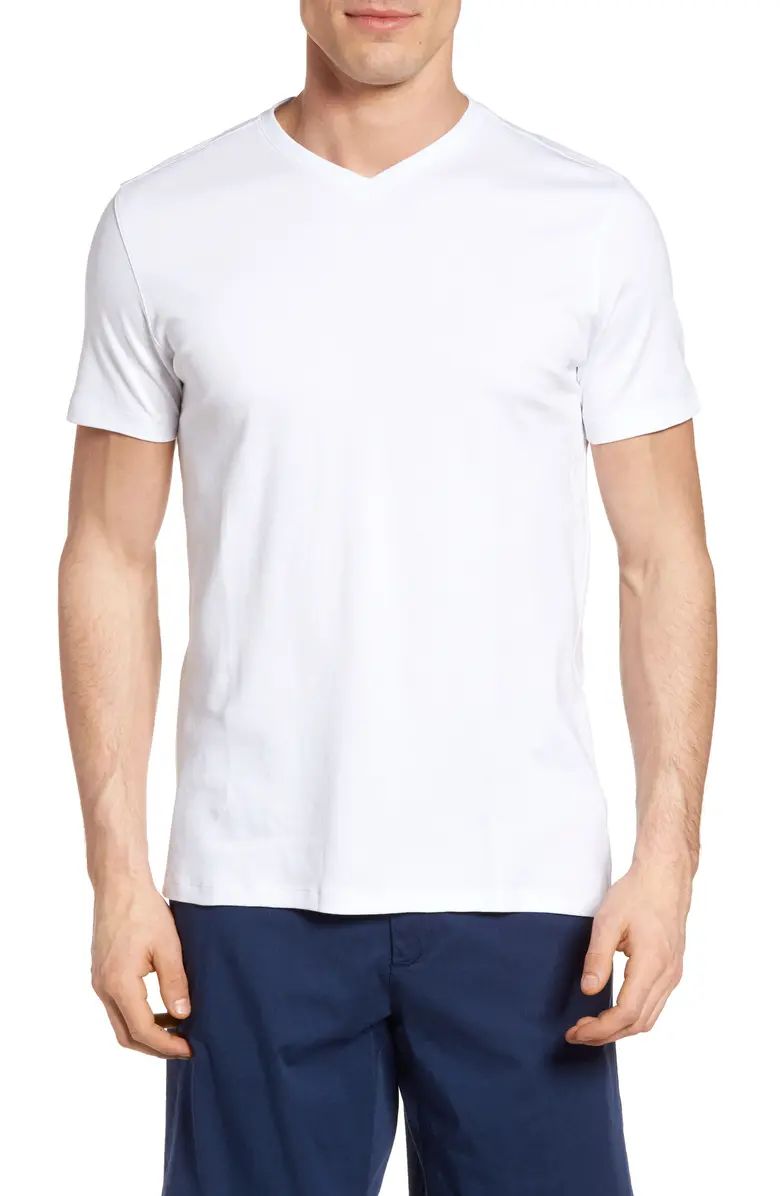 Georgia Regular Fit V-Neck T-Shirt | Nordstrom