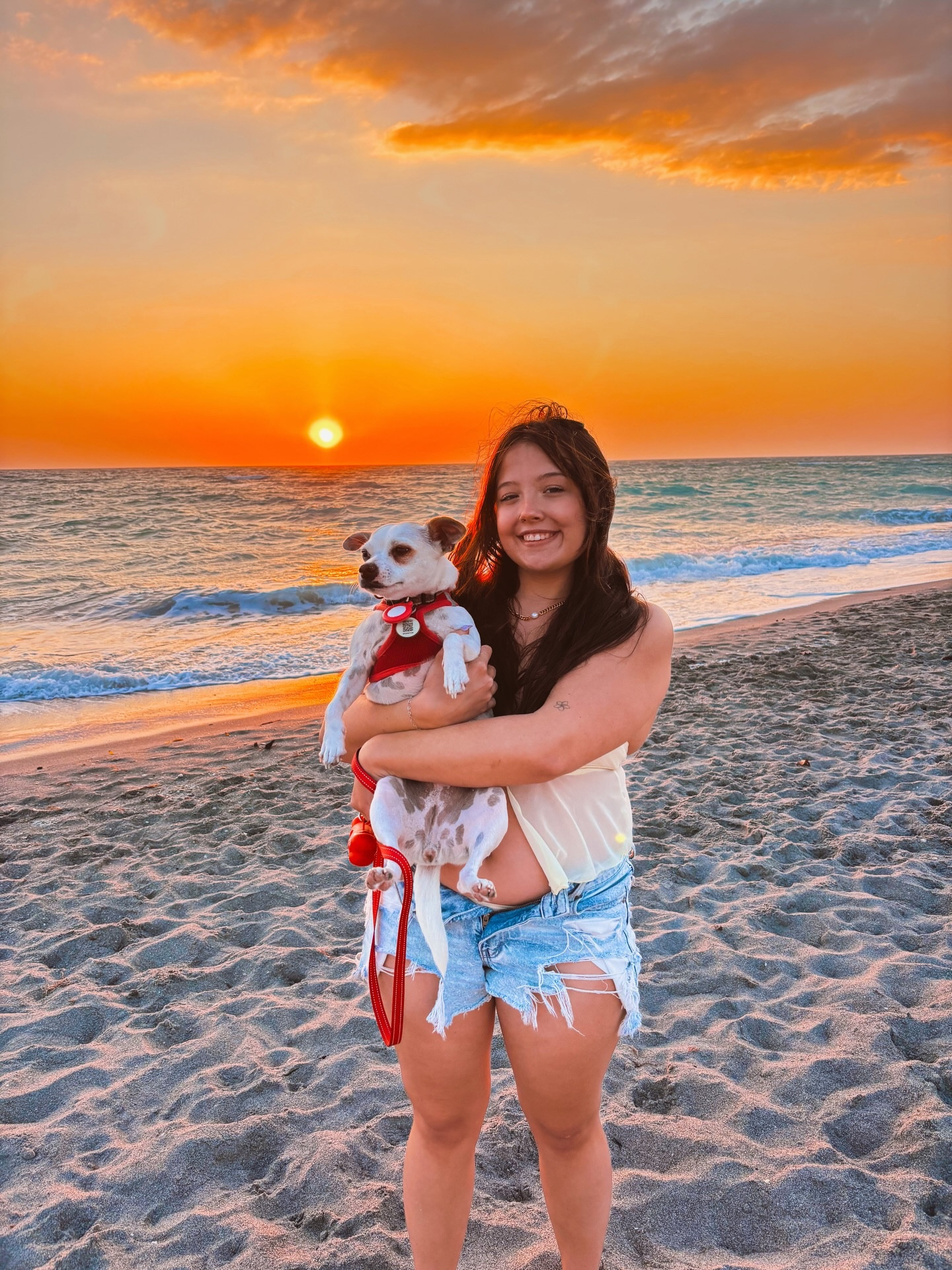 Beach day with the pooches!! 🐶

Dog essentials 🐶✨ | must-have pet products, dog mom life, puppy favorites, daily dog routine, pet care essentials, aesthetic pet finds, Amazon pet must haves, dog walking essentials, cozy pet vibes, clean girl dog mom, pet lifestyle, everyday dog items, spoiled pup energy

#LTKootd #LTKU #LTKdayinmylife