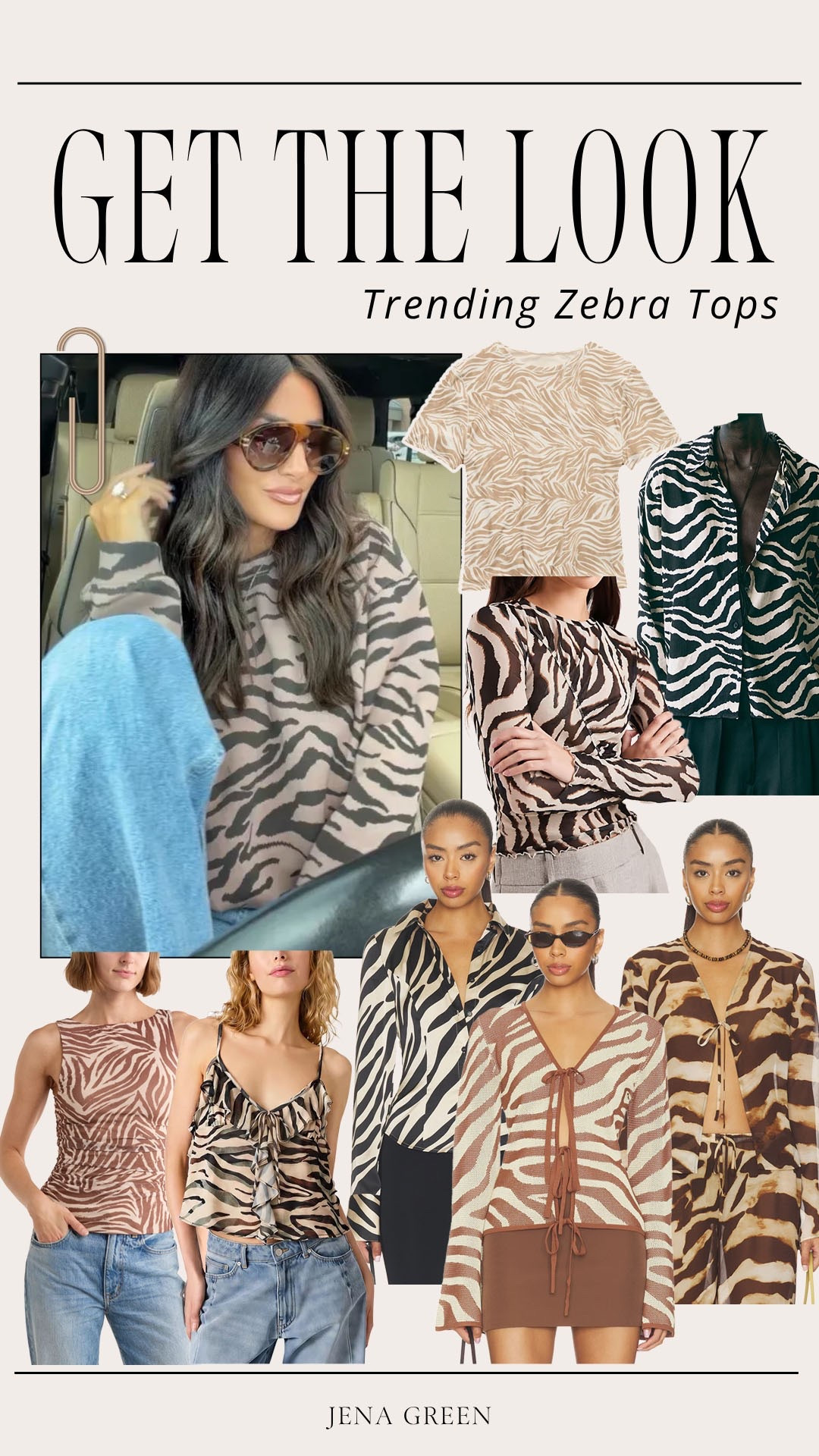 Trending Zebra Tops | Zebra Fashion | Fall Trends

#LTKSeasonal #LTKootd