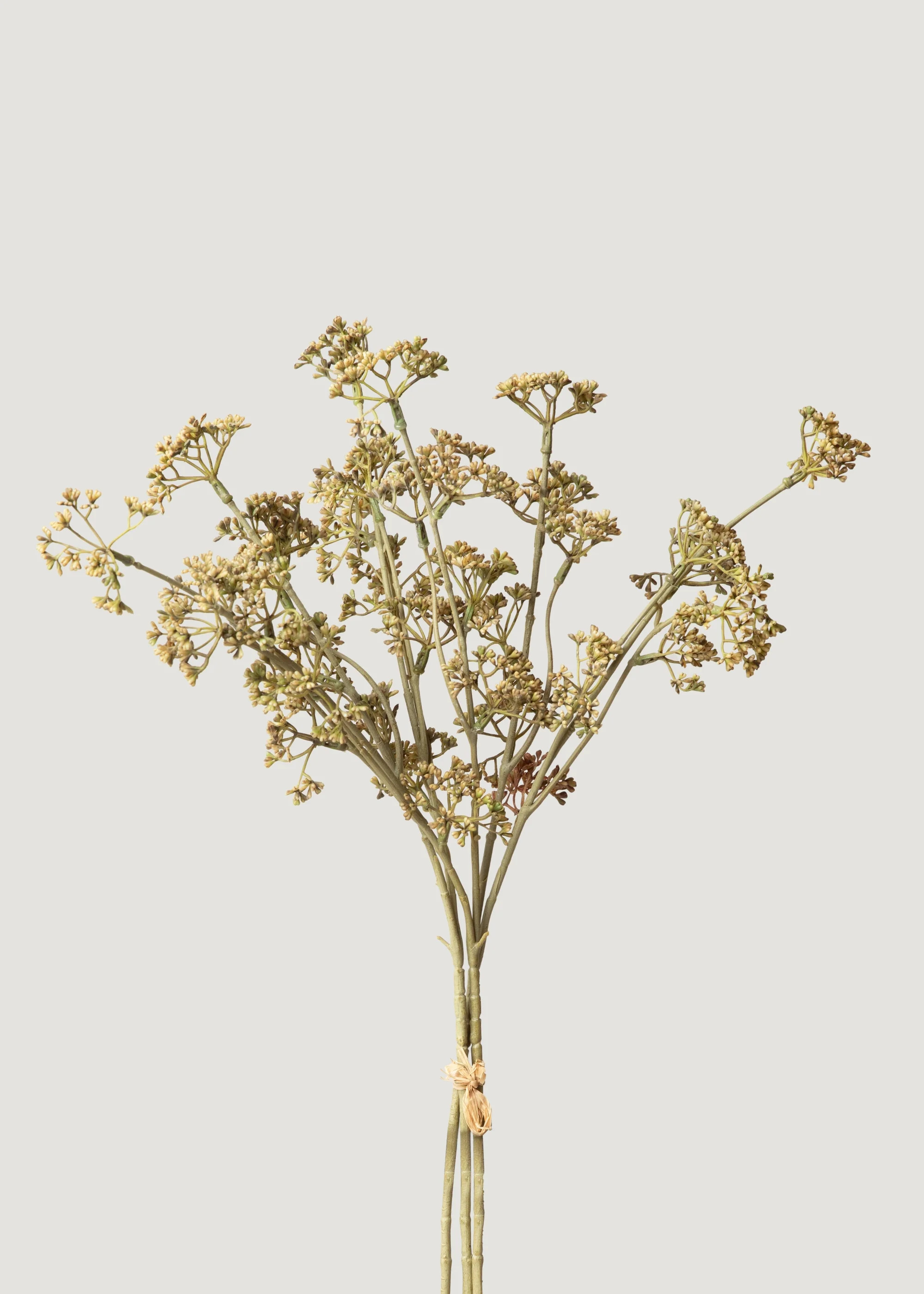 Artificial Meadow Sedge | Fake Stems and Foliage | Afloral | Afloral