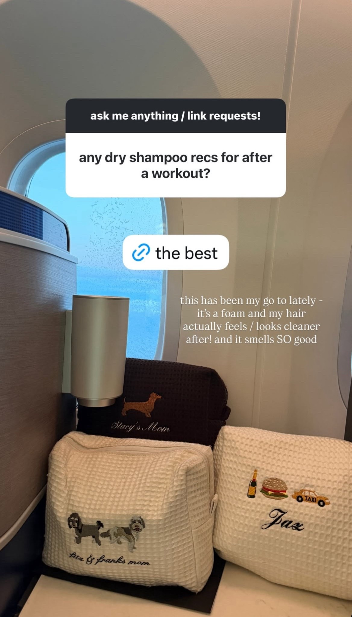 my favorite dry shampoo and waffle travel pouches! 

#LTKBeauty #LTKdayinmylife #LTKgrwm