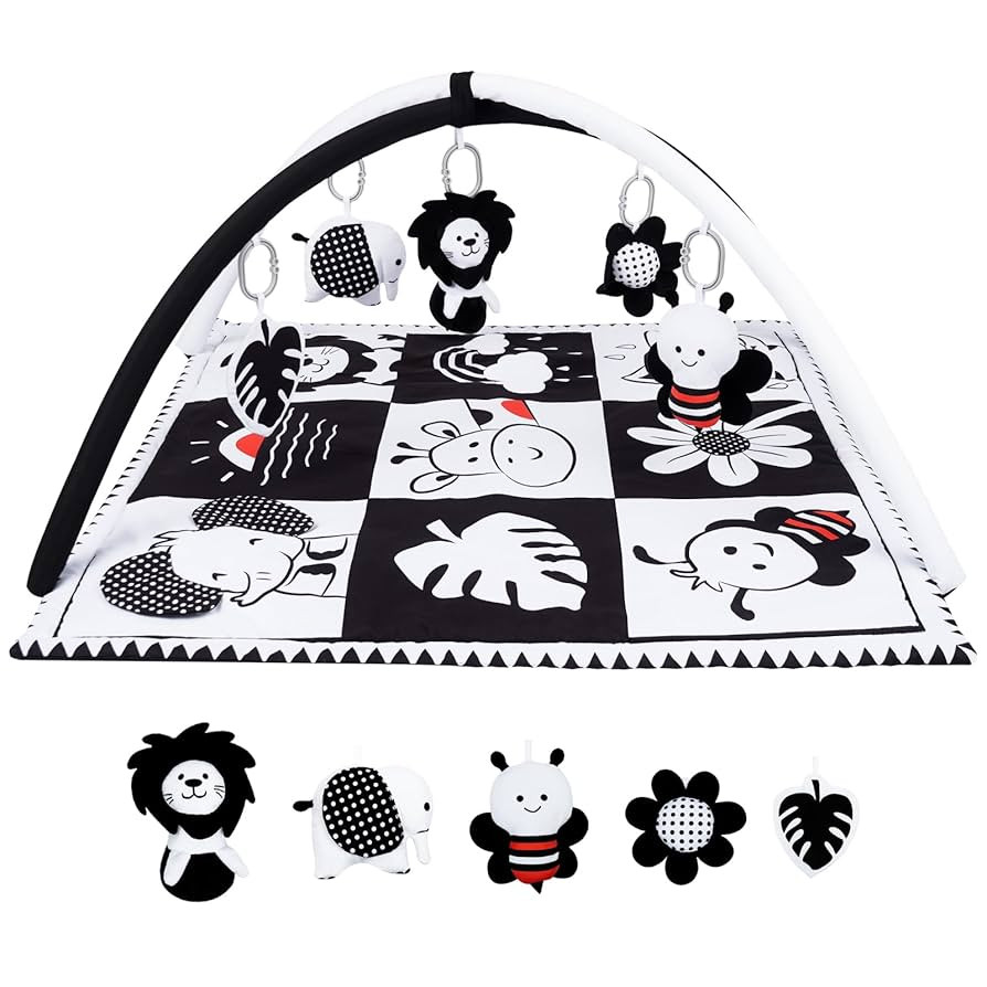 Lovvie & Joy Baby Play Activity Gym Tummy Time Mat for Infant,Baby Gyms & Playmats for Babies 0 t... | Amazon (US)