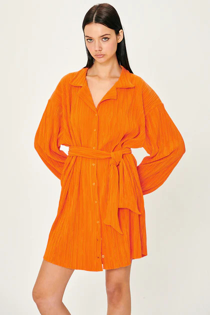 Sandra Plisse Shirt Dress | Storets (Global)