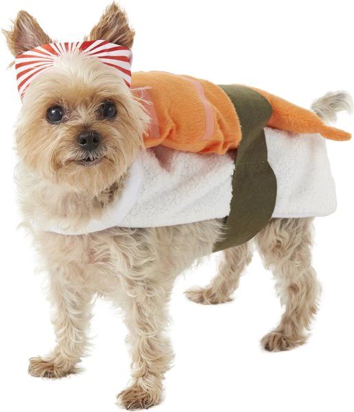 Rubie's Costume Company Sushi Dog & Cat Costume | Chewy.com