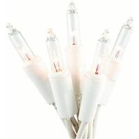 Everglow 2980-22 100 Clear White Wire Light Set | Amazon (US)