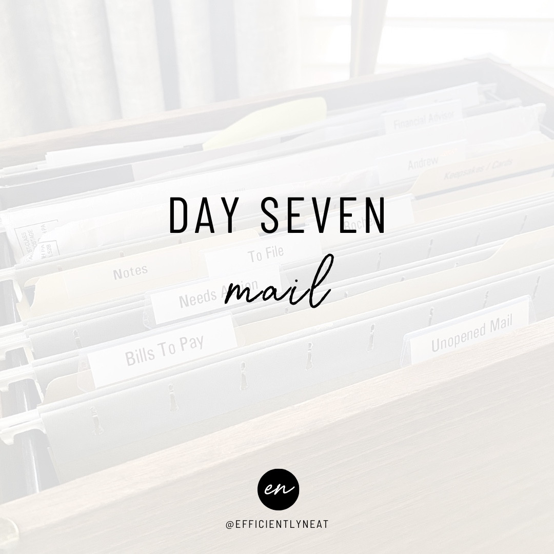 📬 It’s Mail Monday!! For Day 7 of the #freshstartchallenge I am going to show you a simple system to tackle your ever growing mail pile once and for all 🙌🏼

💌 Make sure you swipe through to slide 6 for the most important step!!

🫶🏼 If you are looking for easy systems to #filedontpile your mail, head over to my bio or follow @efficientlyneat on the LTK app for links!

#LTKfindsunder50 #LTKfamily #LTKhome