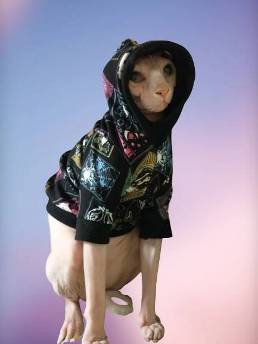 Tarot Cards Hoodie for Sphynx Cats - Etsy | Etsy (US)