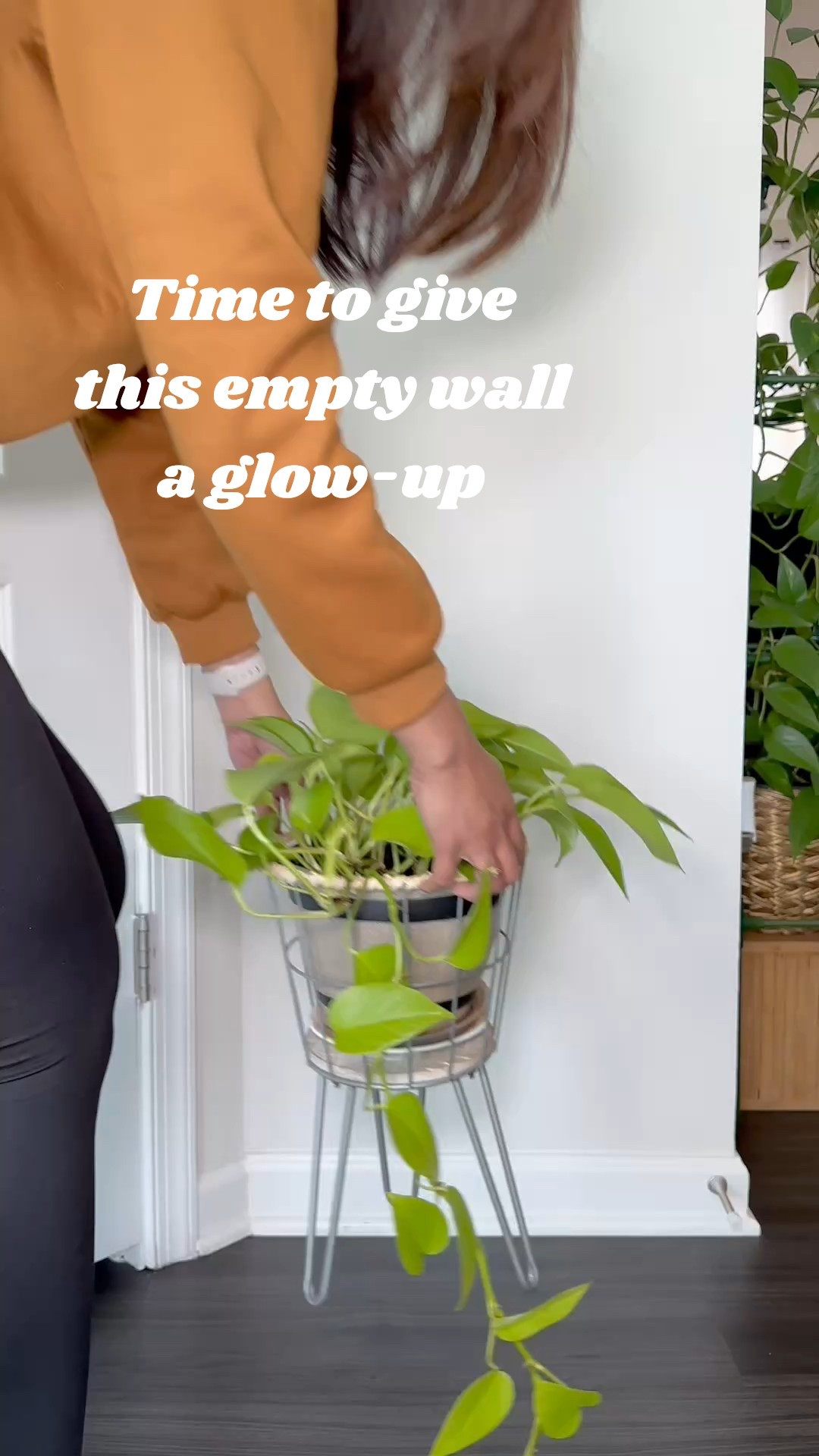 Ready to give your plants the perfect place to climb? Grab this trellis now

#LTKWatchNow 

#LTKHome