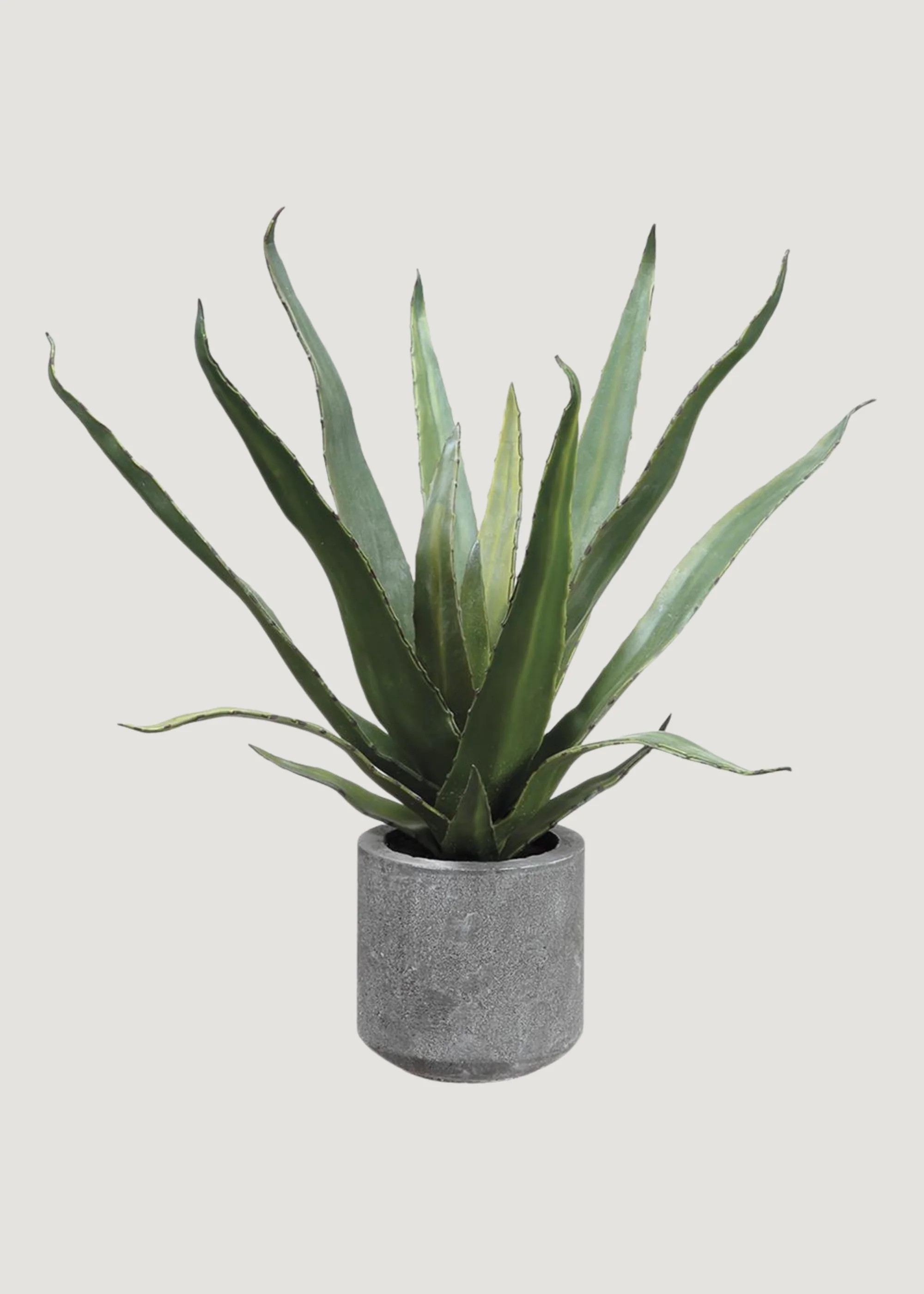 Fake Potted Agave Cactus Plant in Cement Pot - 19" | Afloral