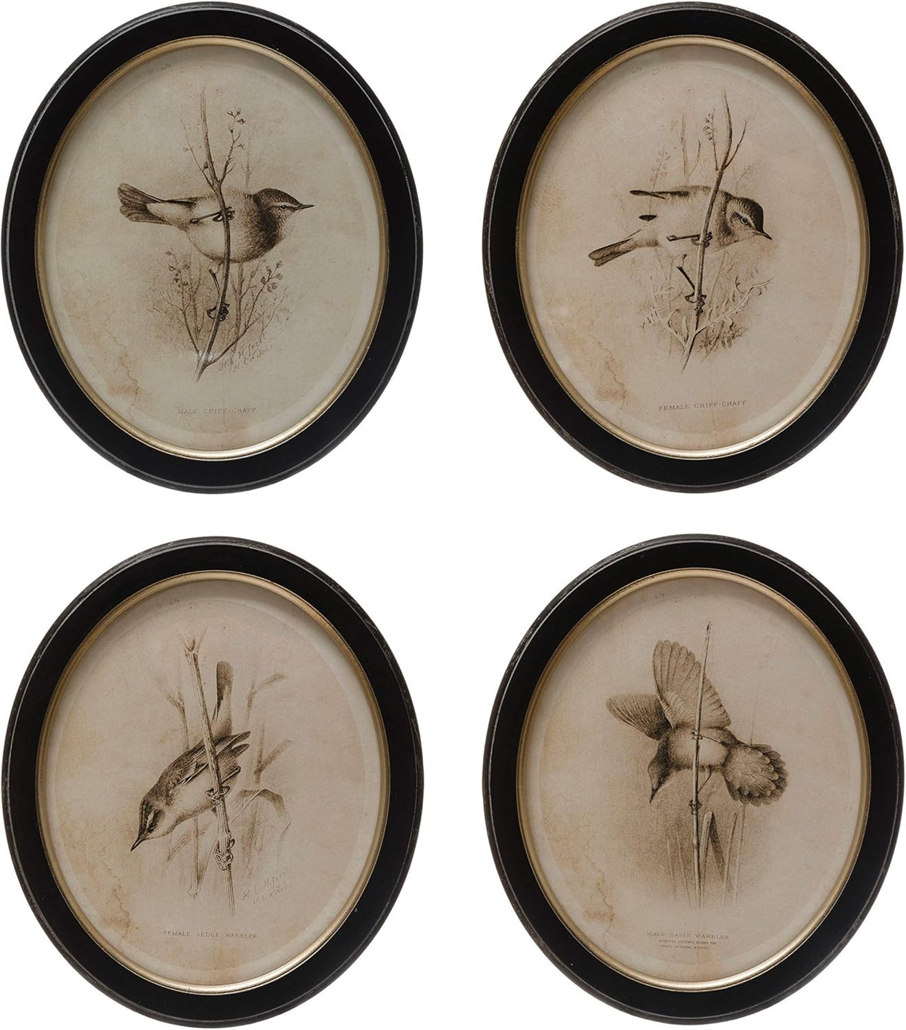 Creative Co-Op Set of 4, 13.75" H MIFF/Glass Décor with Bird Wall Art, Multi | Amazon (US)