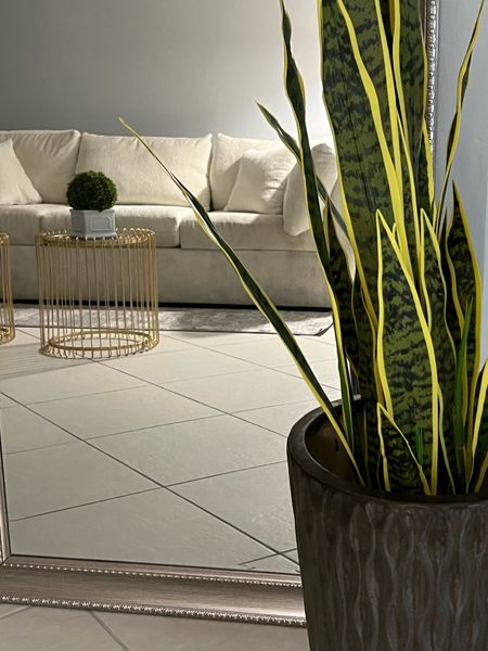 Decor for your house #decor #sofa #plants #table 

#LTKfamily #LTKhome #LTKU