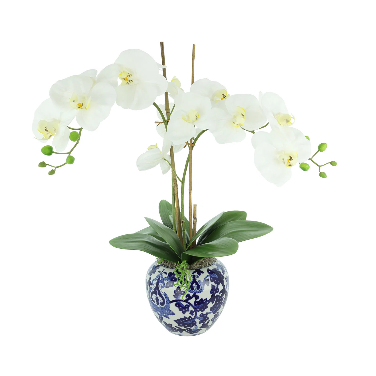 Orchid Floral Arrangement in Decorative Ceramic Vase | Wayfair North America