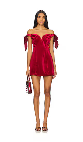 Je T'aime Mini Dress in Burgundy | Revolve Clothing (Global)