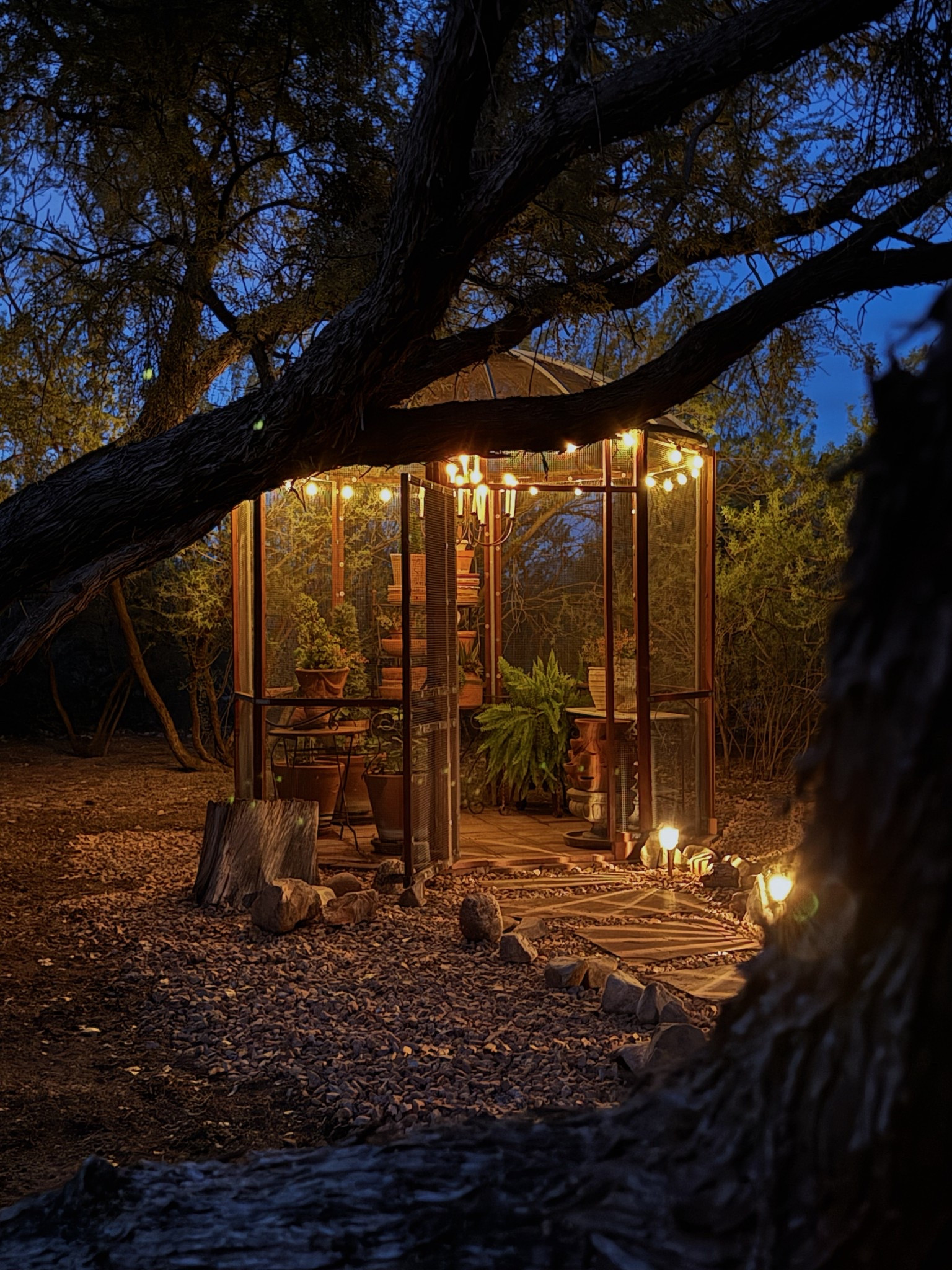 Can you even believe this lights scene? (Comment “lights” for the solar string and path lights info sent to you, they are amazing) I walked out at dusk, and I had to pick my jaw up out of the dirt!😱 Brylie said, “Mom, it looks like somewhere someone would get engaged”… That’s a huge compliment coming from Bry😁