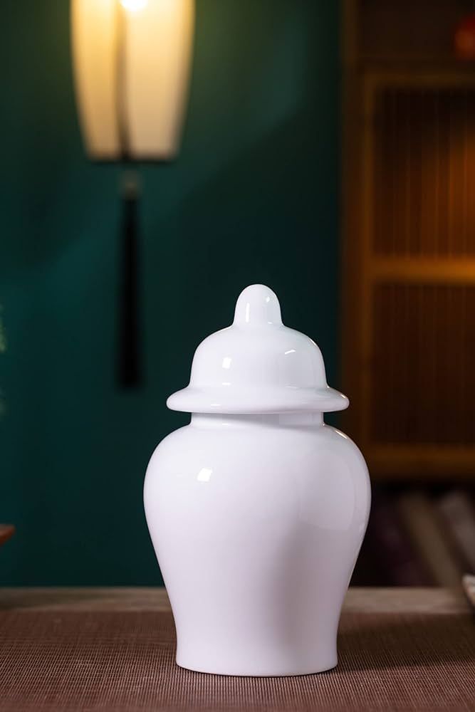 Blue And White Ceramic Ginger Jar For Living Room Egg-Shell Porcelain Vintage Tall Large Floor Sh... | Amazon (US)