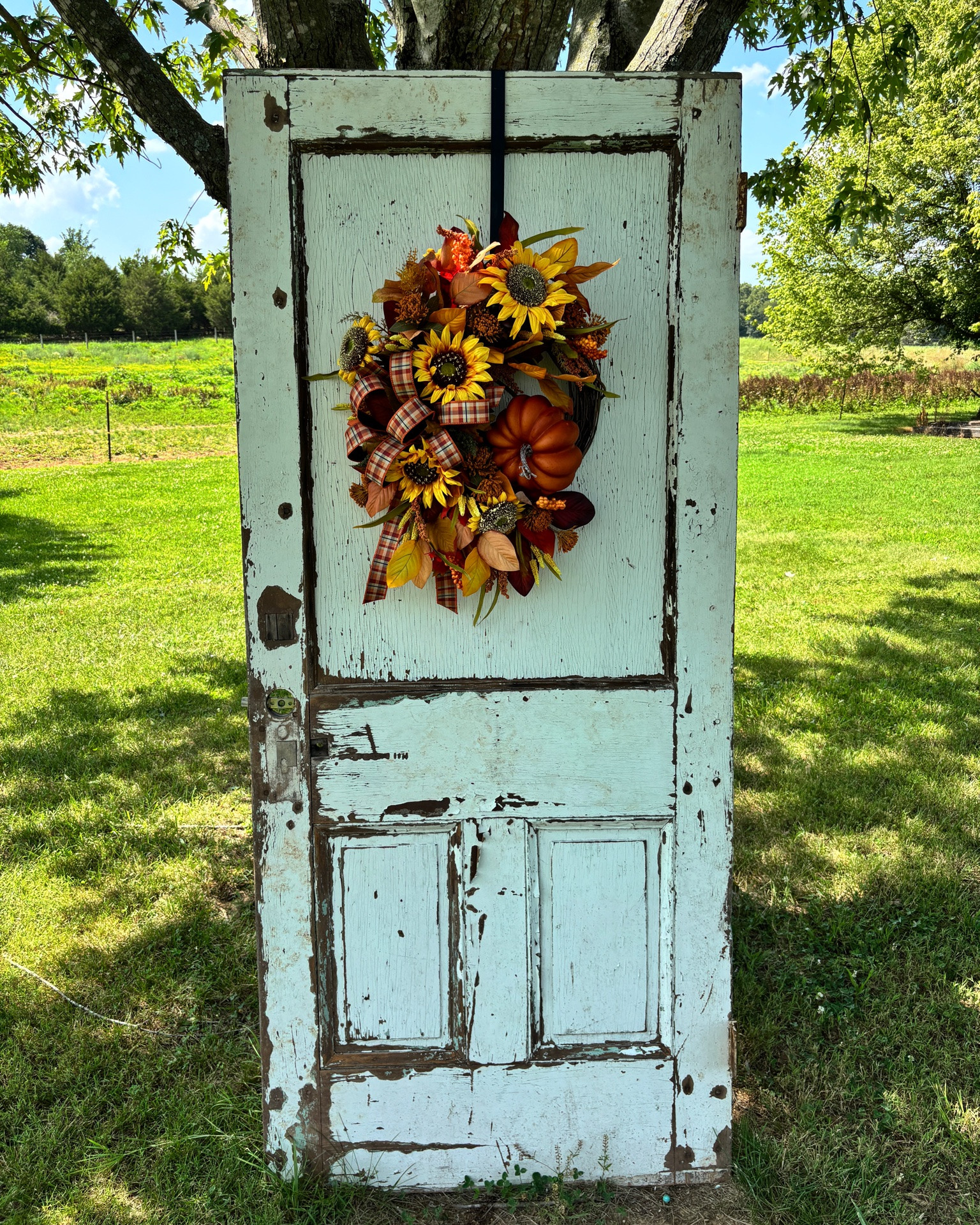 🍂 NOW AVAILABLE 🍂

Sunflowers, pumpkins, rich autumn foliage, and the sweetest plaid bow… this fall beauty is ready to welcome the season! 🧡

Perfect for your front door, porch, or entryway, this handcrafted wreath is one of a kind and ready to ship.

#LTKSeasonal #LTKU #LTKHome