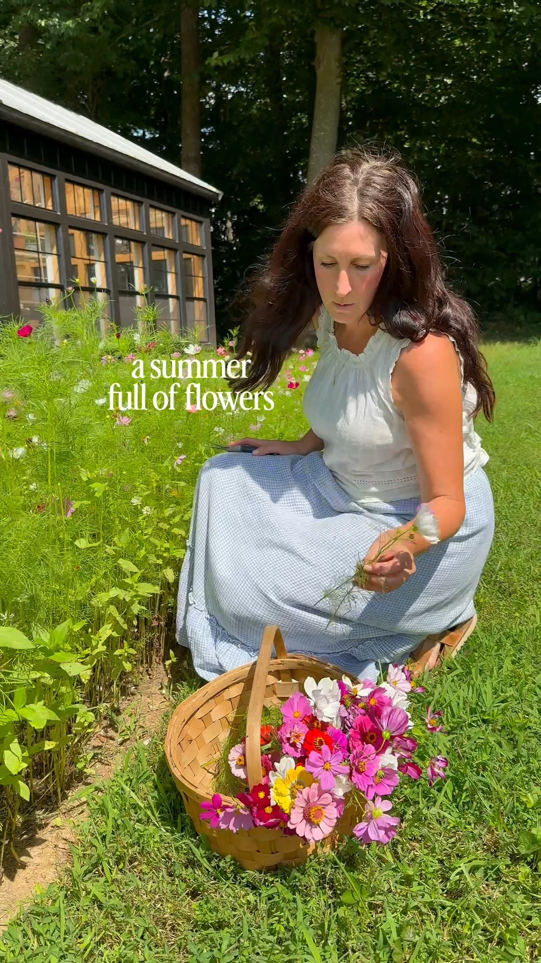 A packet of seeds gives flowers all summer long

#LTKdayinmylife #LTKSeasonal #LTKHome
