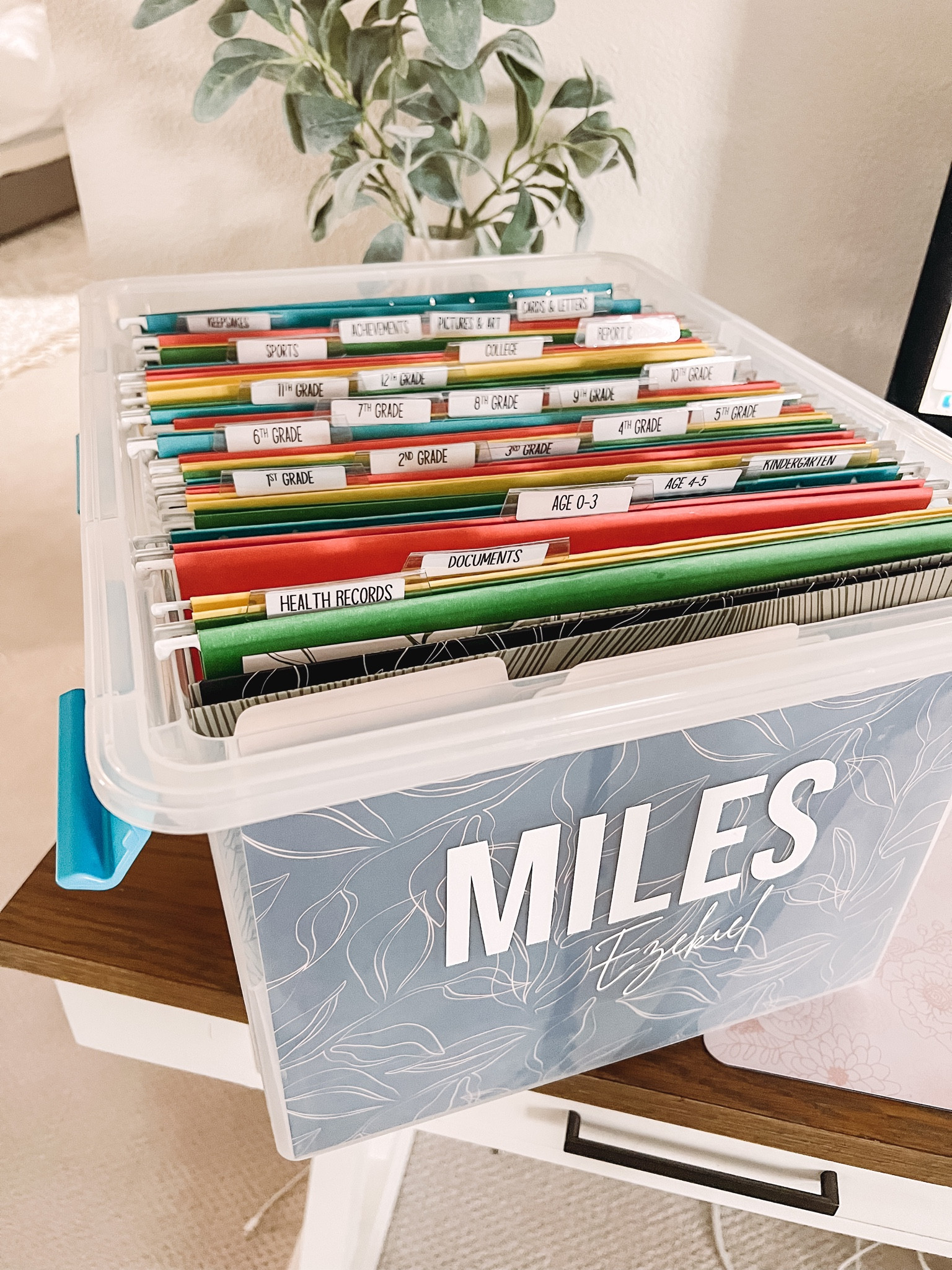 Milestone box supply list! All ordered from Walmart. 🫶🏼 #LTKsalealert #LTKbaby

#LTKSeasonal