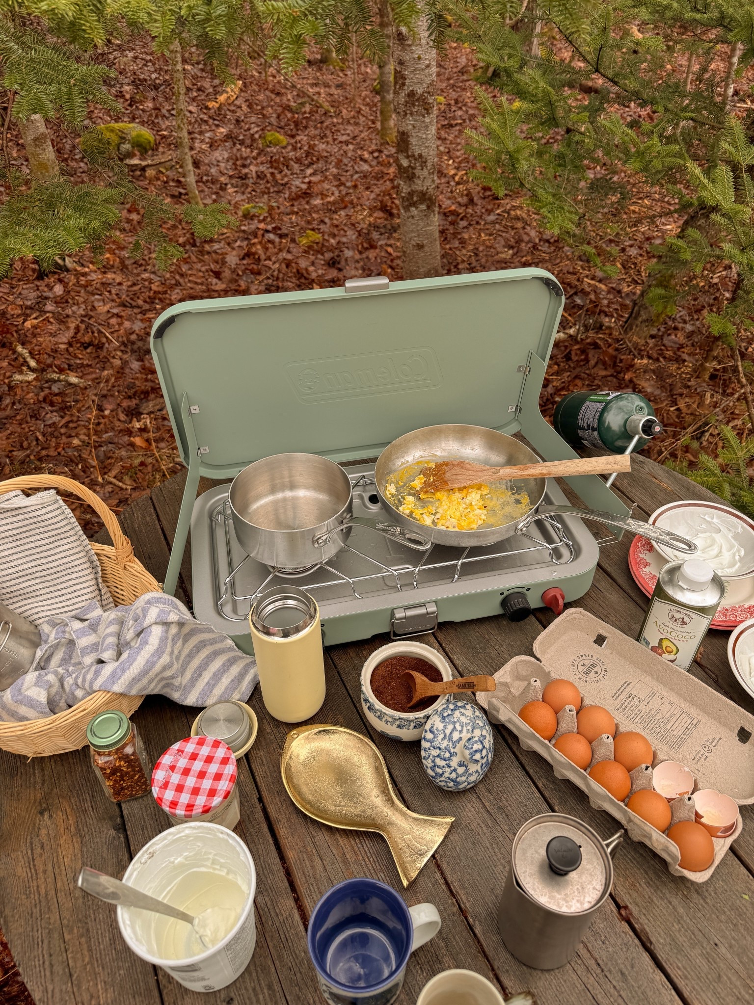 Coleman stove. 🌲🫶🏼

#LTKtravel #LTKcanada #LTKsummer