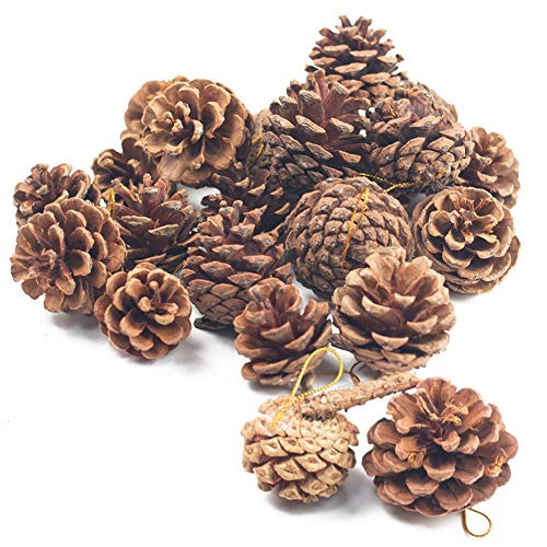 JOHOUSE Natural Pine Cones, Christmas Rustic Pinecones Fall Garland Halloween Thanksgiving Decoratio | Amazon (US)