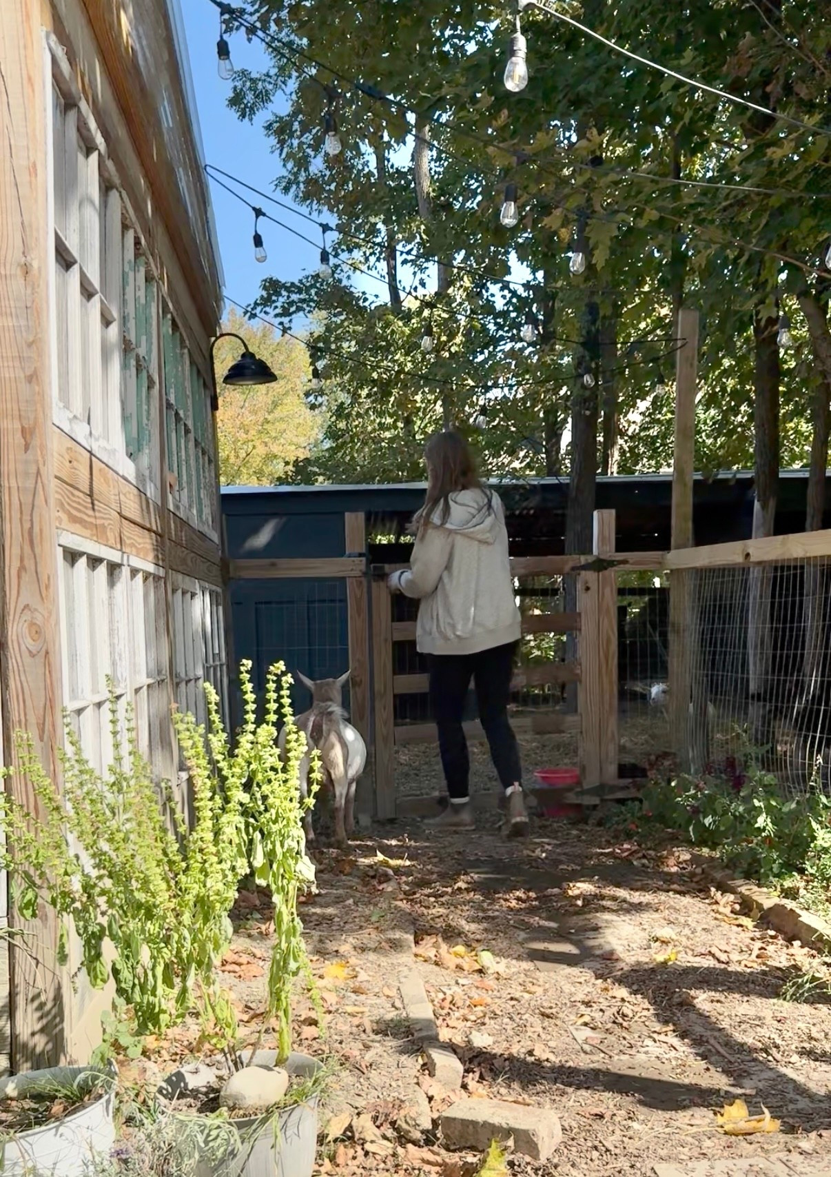 My favorite super soft leggings 

#LTKActive #LTKFindsUnder50