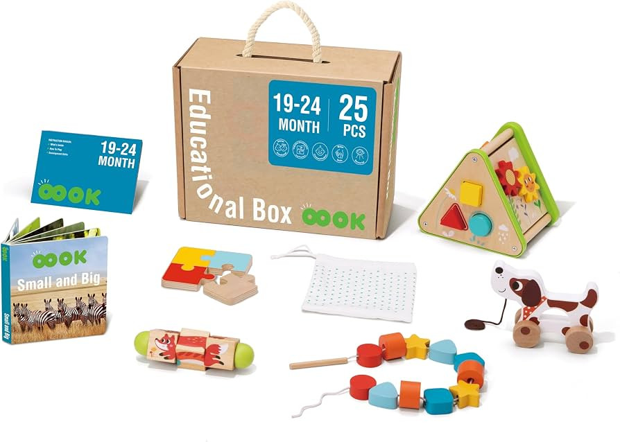 Wooden Educational Box for Babies 19-24 Months - Stimulate Early Learning and Creativity | Amazon (US)