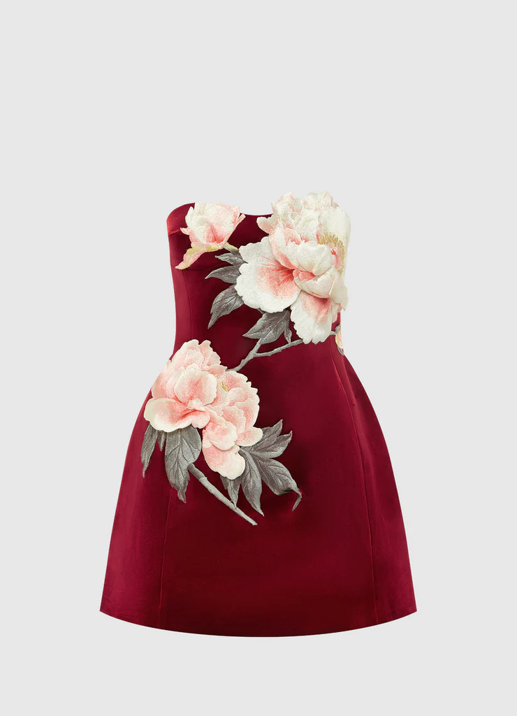 Rosanne Velvet Appliqué Floral Bustier Mini Dress - Garnet | LEO LIN