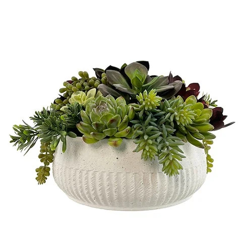 12" Succulent Arrangement | Perigold