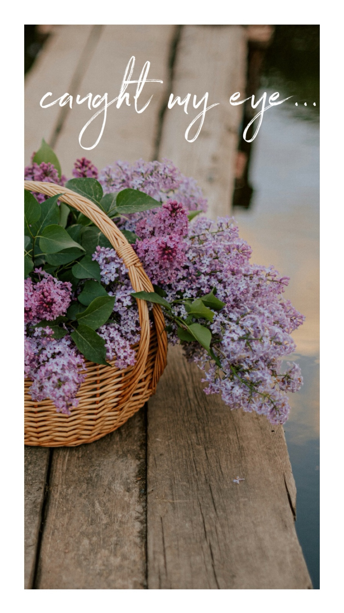 caught my eye 4.40

#LTKstyletip #LTKSeasonal #LTKsalealert