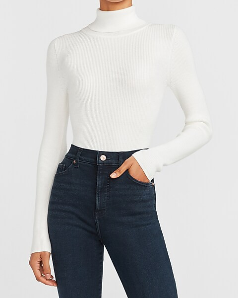 Fitted Ribbed Turtleneck Sweater | Express