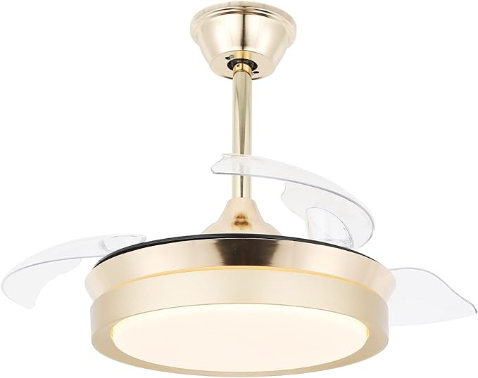 Curve Curio 36" Retractable Ceiling Fan with Lights in Gold, Ceiling Fan with Retractable Blades ... | Amazon (US)