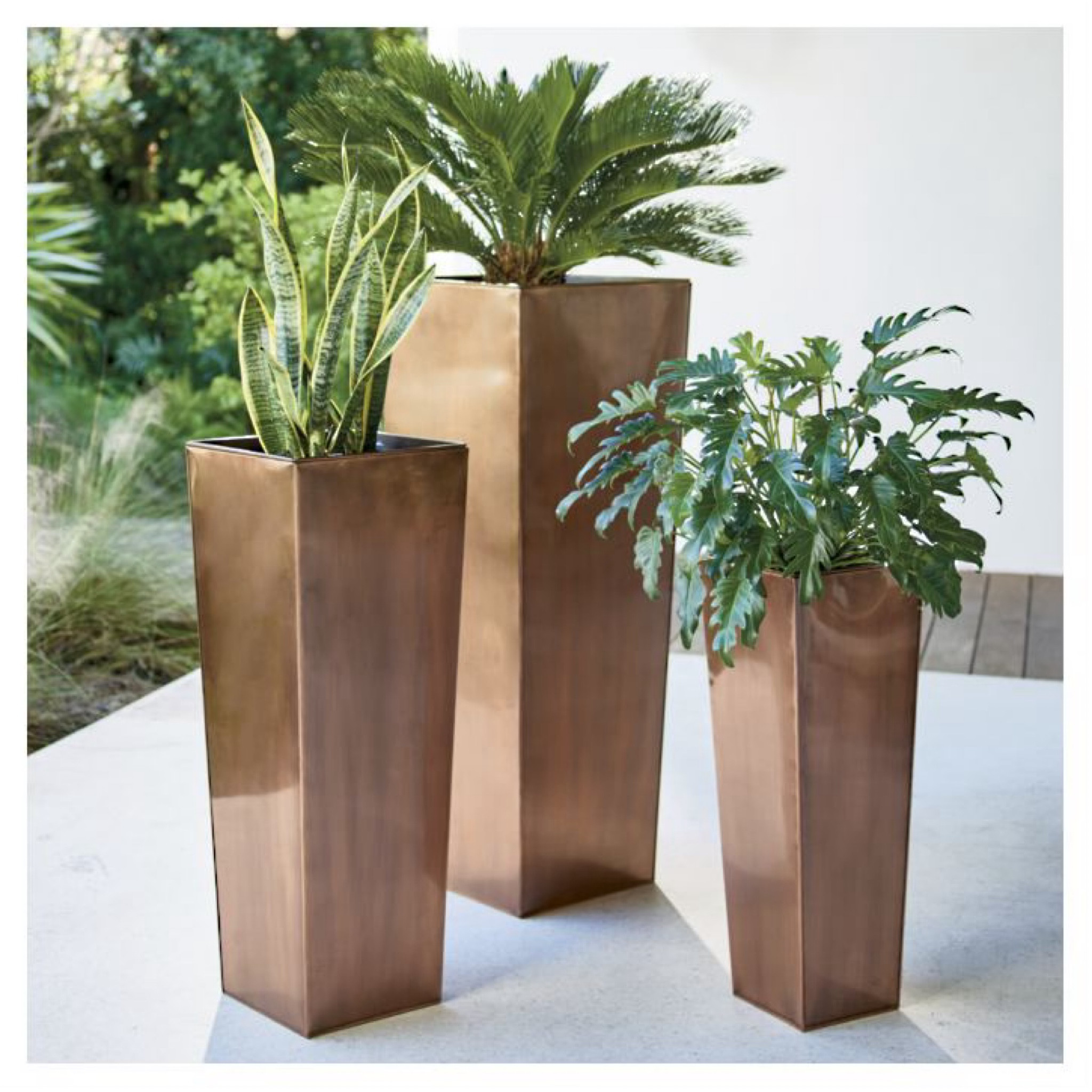 Stainless Steel Tall Tapered Planter These weather-resistant planters are impeccably hand-patterned from solid, rust-free stainless steel. Select a burnished copper finish that will weather gracefully to a rich patina with time or a chic, deep black. These decorative planters showcase seasonal blossoms in distinctive style. Tall planters include an insert to reduce soil requirements when using with live plants.

#LTKHome #LTKOver40