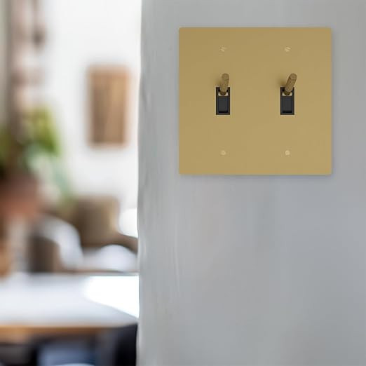 𝗠𝗢𝗗 𝗟𝗜𝗚𝗛𝗧𝗜𝗡𝗚 Modern Toggle Switch | Interior On Off Light Switch... | Amazon (US)